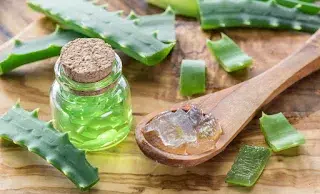 L’aloe vera : bienfaits naturels pour une peau douce et saine