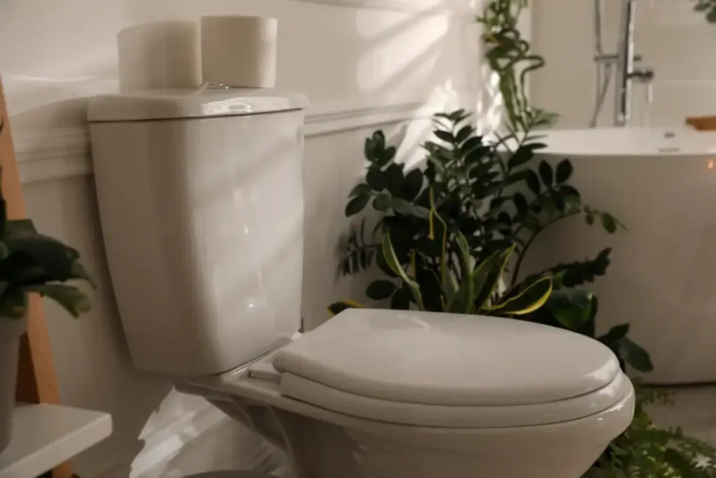Parfumer naturellement les toilettes : astuce simple