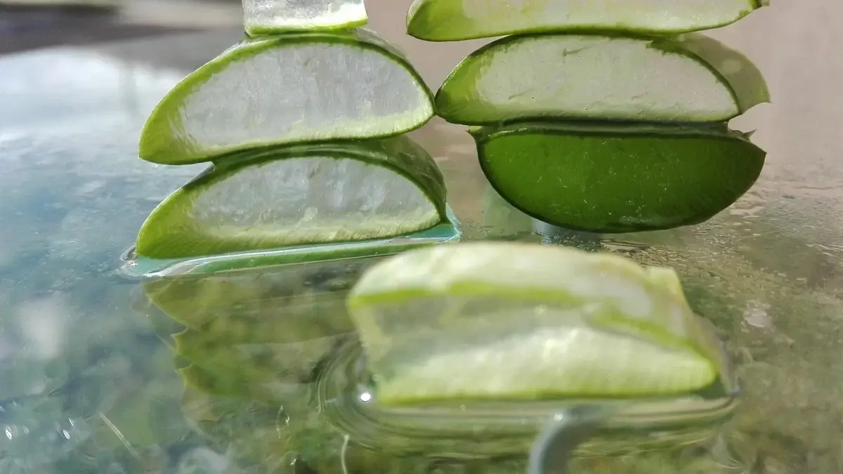 Aloe vera: natural benefits for soft, healthy skin